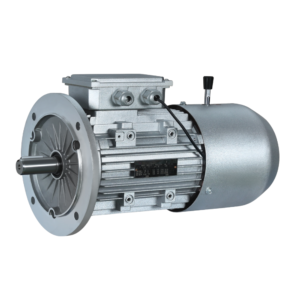 Moteur de Frein Électromagnétique Série YEJ2